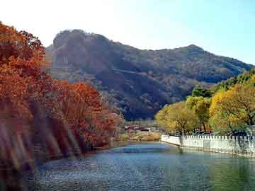 昆明市汽车市场全览，昆明市汽车市场全景解读