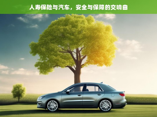 人寿保险与汽车，安全与保障的交响曲，人寿保险与汽车，奏响安全与保障交响曲